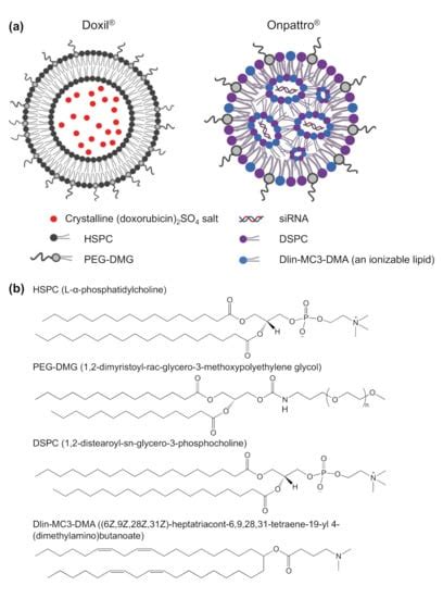 Vaccines | Free Full-Text | Lipid-Based Nanoparticles in the Clinic and Clinical Trials: From ...