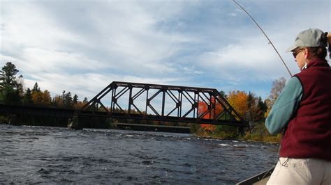 Kennebec River Fishing | Maine River Guides