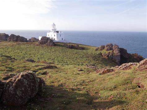 Burrowing Rabbits Discover Priceless Artifacts On Skokholm Island ...