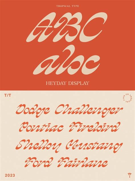 HEYDAY DISPLAY FONT - The Suppply Co