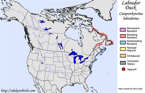 Labrador Duck - Species Range Map