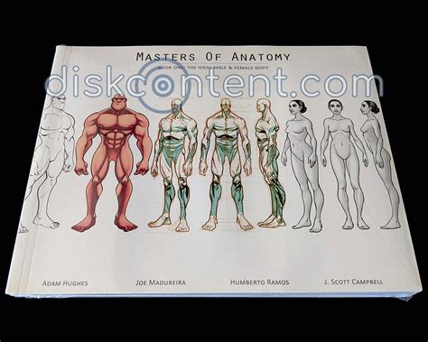 Masters of Anatomy Book One: The Ideal Male & Female Body - diskcontent.com