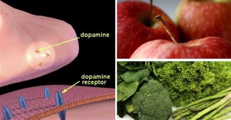 15 Dopamine-Promoting Foods To Kill Your Cravings and Naturally Elevate ...