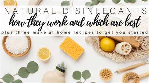 Natural Disinfectants: How They Work and Which are Best