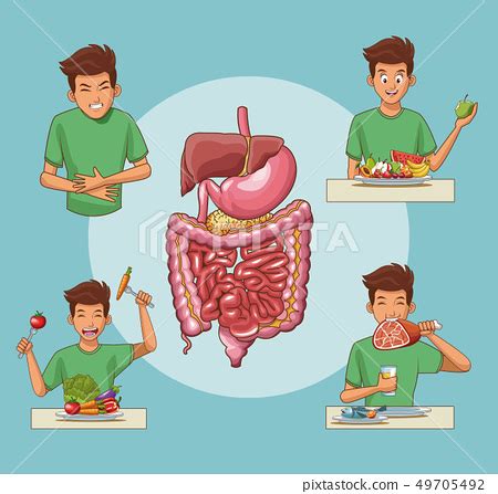 Digestive system cartoon - Stock Illustration [49705492] - PIXTA