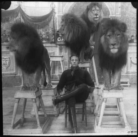 lion tamer | Vintage circus, Lion tamer, Old circus