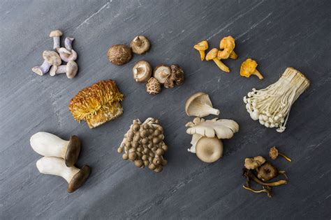 Types of Mushrooms - Guide to Buying and Storing