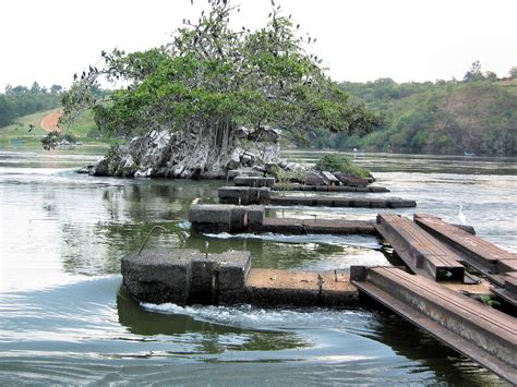 Source of White Nile River | This is the source of the Nile … | Flickr