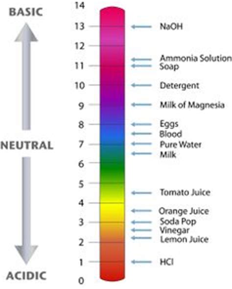 Pin by ANDREA FLOYD on Respiratory | Biology lessons, Teaching chemistry, Learning science