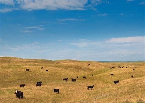 Nebraska Sandhills | I *heart* Nebraska | Pinterest