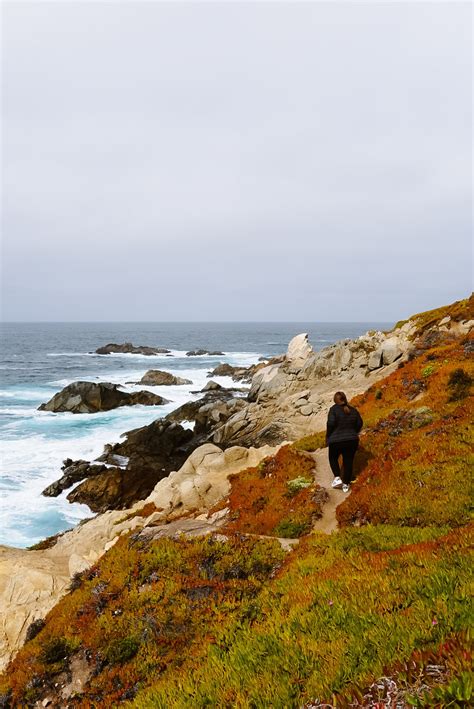 5-Day Ultimate California Coast Road Trip (Hwy 1) Itinerary: Driving San Francisco to Los ...