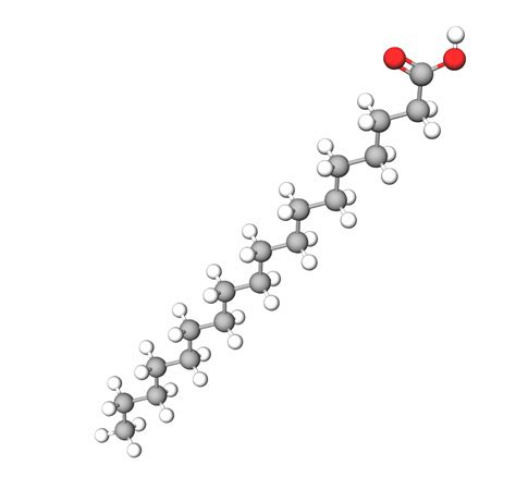 Stearic Acid | Octadecanoic acid | Ingredient | INCIGuide