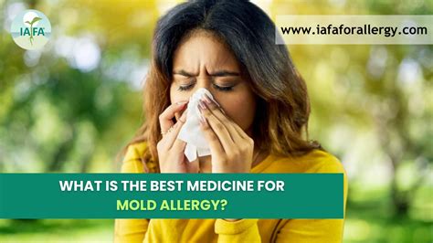 What is the Best Medicine for Mold Allergy? – Natural Treatment