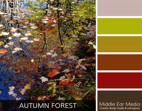 Autumn Forest Color Palette | Website Design, Marquette MI