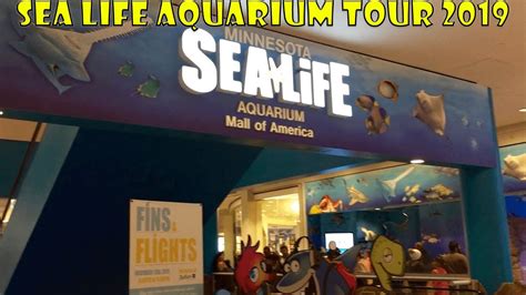 Mall of America Sea Life Aquarium - YouTube