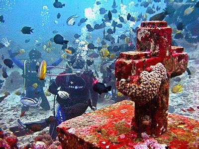 Weekend diving at Anilao, Batangas | TriptheIslands.com