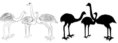 Emu Silhouette 540281 Vector Art at Vecteezy