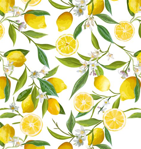 Pin By Pngsector On Lemon Transparent Png Image & Lemon - Lemon Wallpaper For Walls Clipart ...