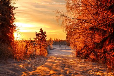 Scandinavian winter 5 by Floreina-Photography on DeviantArt