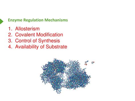 Enzyme Regulation I Dr. Kevin Ahern. - ppt download