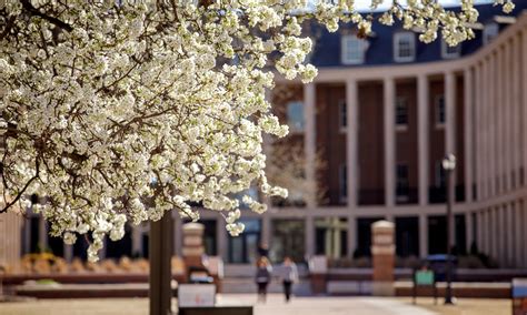 Spears School of Business Search | Oklahoma State University