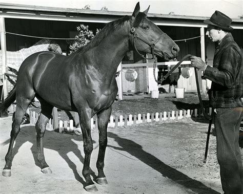 Seabiscuit Horse Racing #1 Photograph by Retro Images Archive