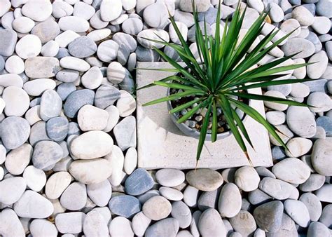 10 modern rock garden ideas ???? ???? Landscaping with contemporary aesthetics