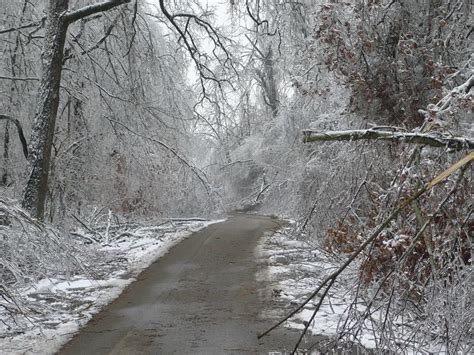 ICE STORM 2009 | Ice storm, Mayfield kentucky, Outdoor