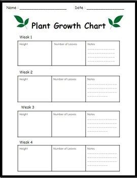 Plant Growth Chart - Worksheet (PDF) by Mr Aline Emorphi | TPT