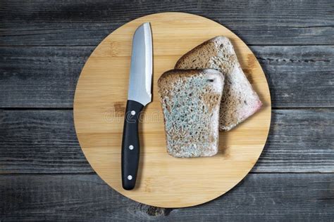 Spoiled bread stock image. Image of green, brown, cutting - 239851469