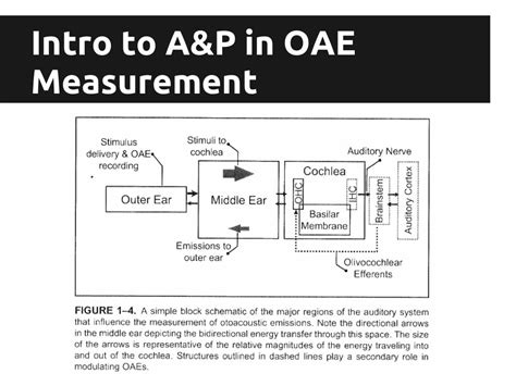 Overview of OAEs