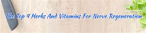 The Top 4 Herbs And Vitamins For Nerve Regeneration