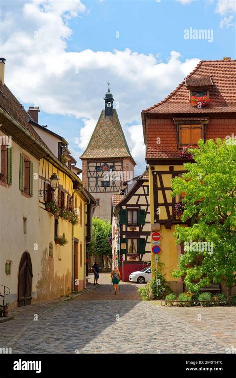 /France, Haut Rhin, Alsace wine road, Bergheim, medieval walled ancient city, labelled Les Plus ...