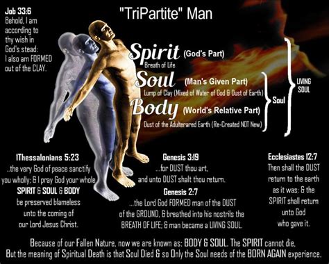 Tripartite Man: Spirit, Soul & Body – Las Vegas for Jesus Worldwide ...