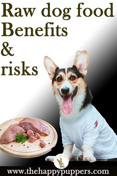 Benefits of Raw Dog Food