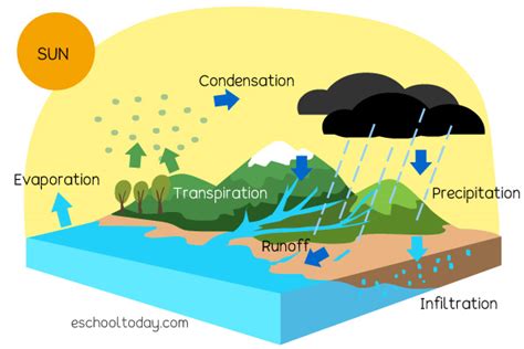 A great definition of the Water Cycle with quality illustrations – Eschooltoday