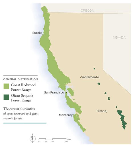 Save the Redwoods League Scientists Reveal Significant Need for Forest Conservation Efforts in ...