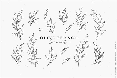 Olive Branch clipart, botanical leaves illustrations, olive wreath line art | Olive branch ...