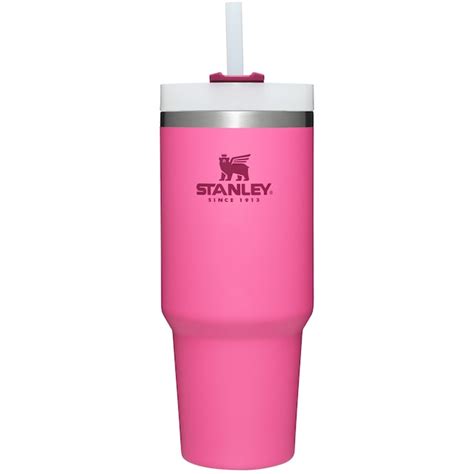 Stanley Quencher 30-fl oz Stainless Steel Insulated Water Bottle in the ...