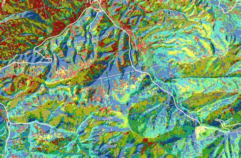 Researchers Devise a New Way to Crunch Massive LiDAR Data to Map Forest Structure — Eastern ...