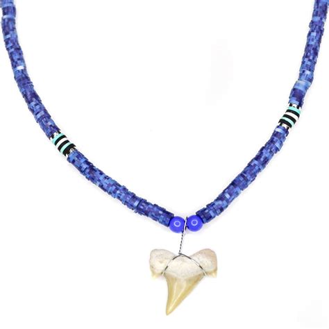 Blue Shark - Fossil Shark Tooth Necklace – Charming Shark Retail