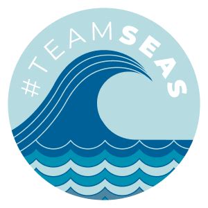 Team Seas – Nerd For Tech – Medium