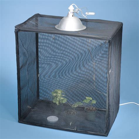 Deluxe Butterfly Habitat Kit | Carolina.com