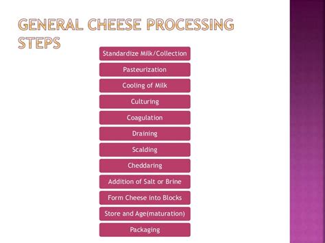 Fermentation of cheese (1)