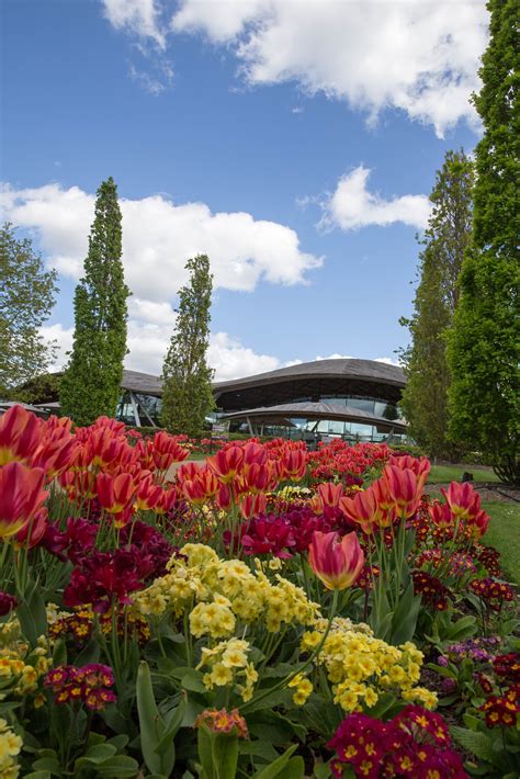 Savill Garden-4384 – The Royal Windsor Rose & Horticultural Society