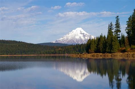 Timothy Lake Loop Hike - Hiking in Portland, Oregon and Washington