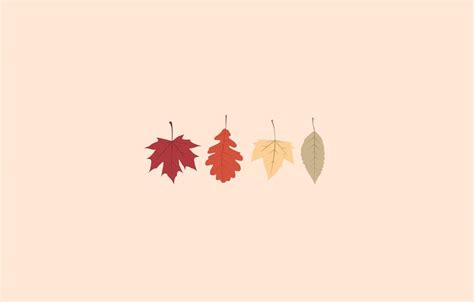 Minimalist Autumn Wallpapers - Top Free Minimalist Autumn Backgrounds - WallpaperAccess