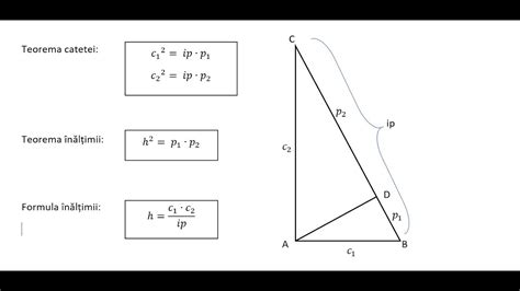 Teorema înălțimii. Teorema catetei. - YouTube