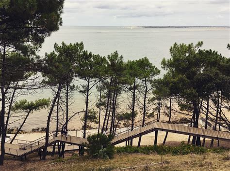 Restaurants Arcachon And Arcachon Hotels in Arcachon Bay - olive magazine