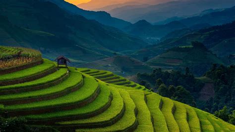 Paisaje Graphy of Rice Terraces 4K Nature HD Desktop Wallpaper: Widescreen: alta definición ...